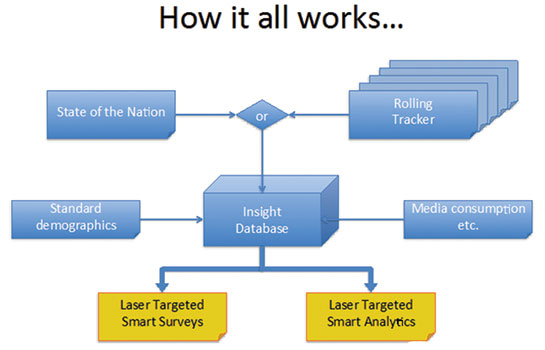 Laser Targeted Smart Survey - How it all works